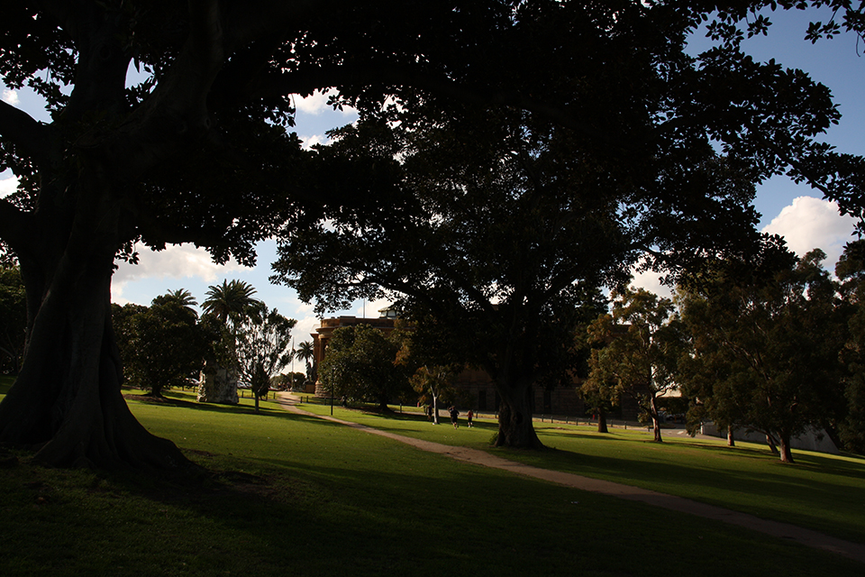 botanic-garden-sydney-australie-01