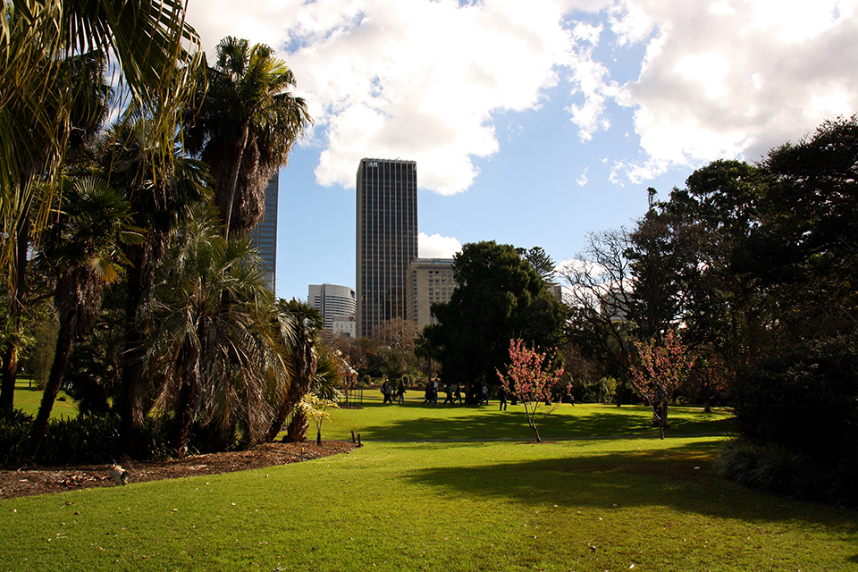 botanic-garden-sydney-australie-05