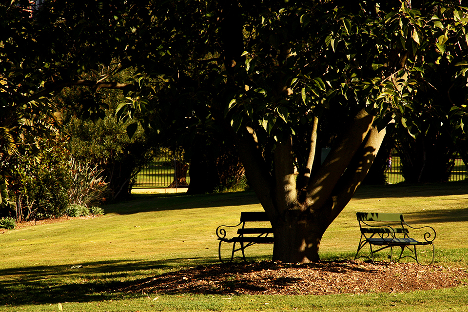 botanic-garden-sydney-australie-08