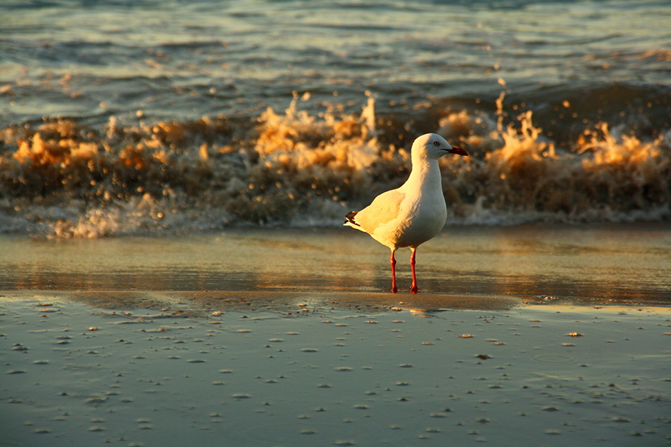 byron-bay-australie-sunset-30