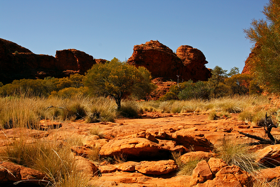 kings-canyon-red-center-australie-08