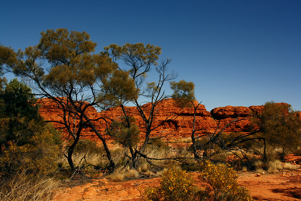 kings-canyon-red-center-australie-10