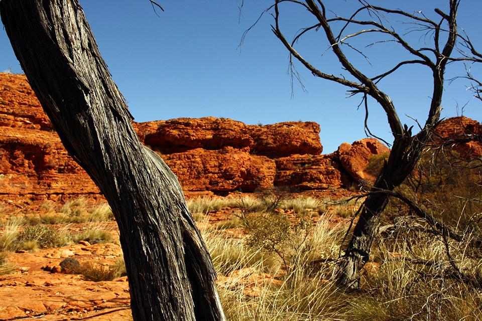 kings-canyon-red-center-australie-12