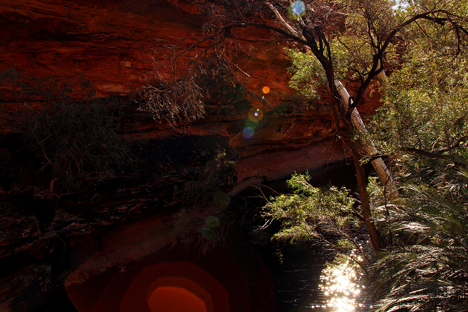 kings-canyon-red-center-australie-16