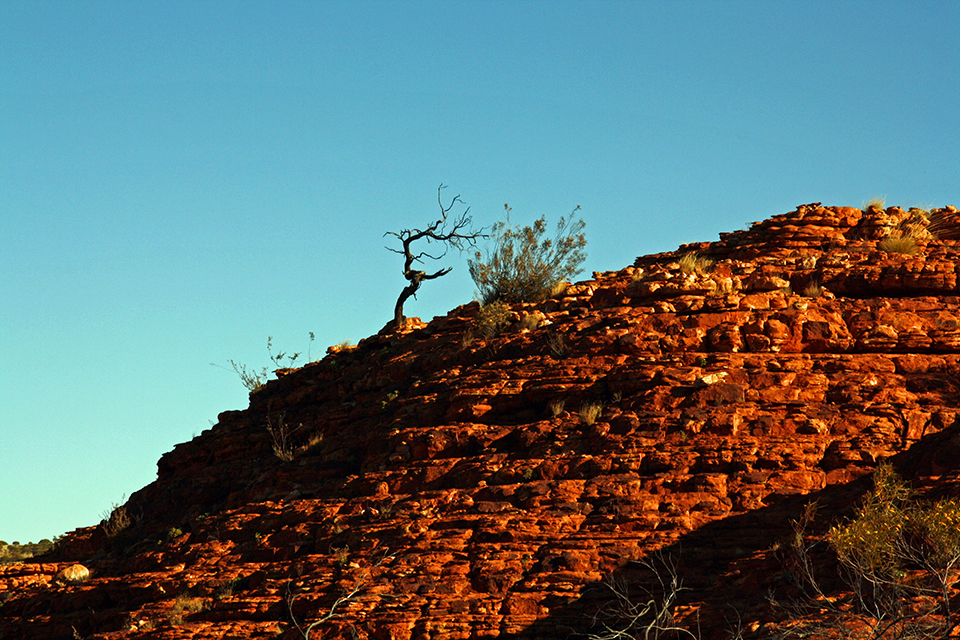 kings-canyon-red-center-australie-22