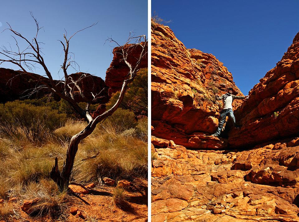 kings-canyon-red-center-australie-26