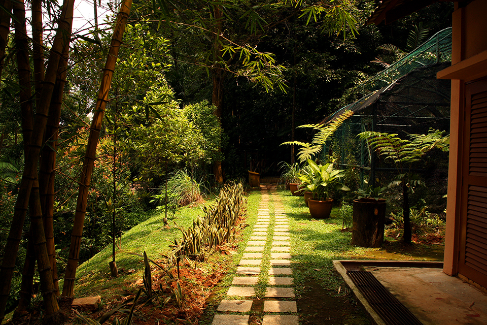 kuala-lumpur-malaysia-tropical-garden (5)