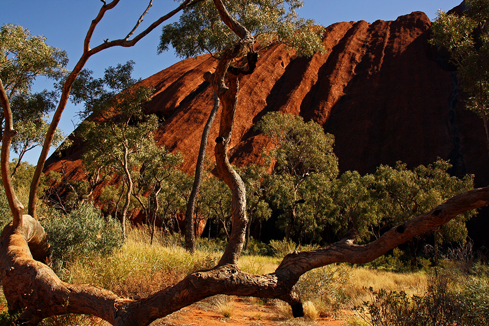 uluru-ayers-rock-australie-14