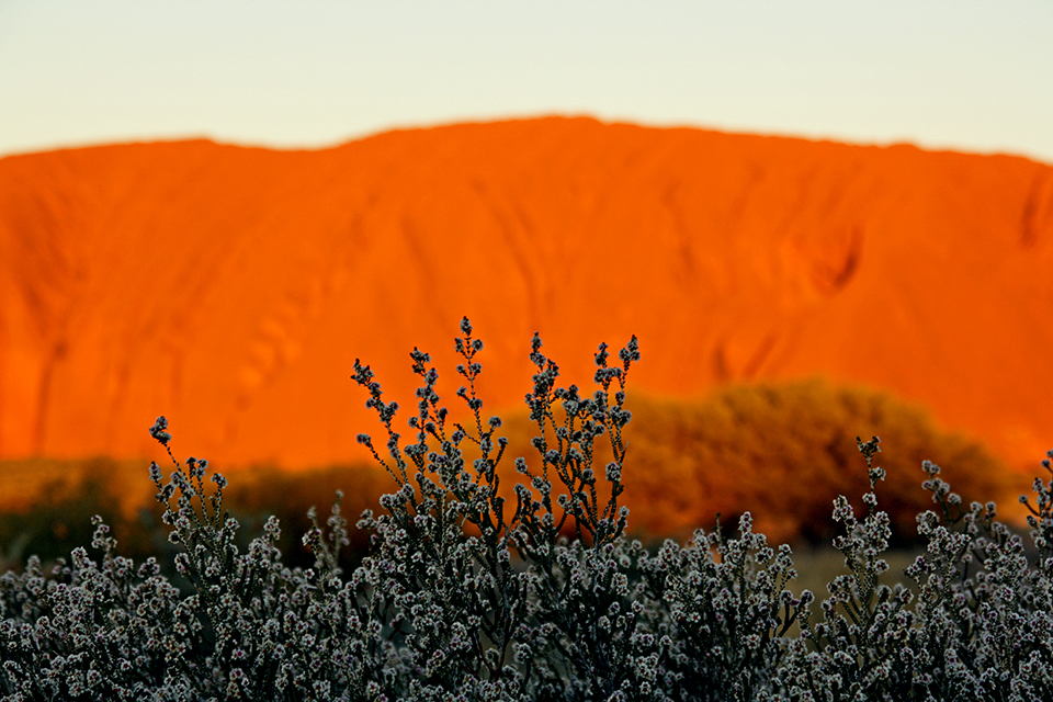 uluru