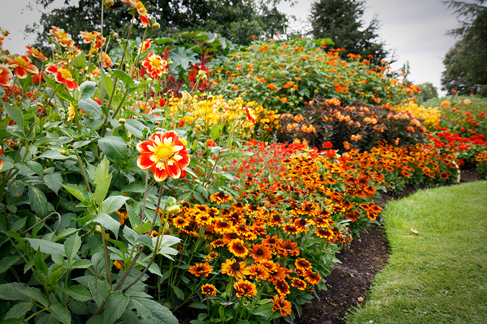 fleurs-kew-gardens-londres-14