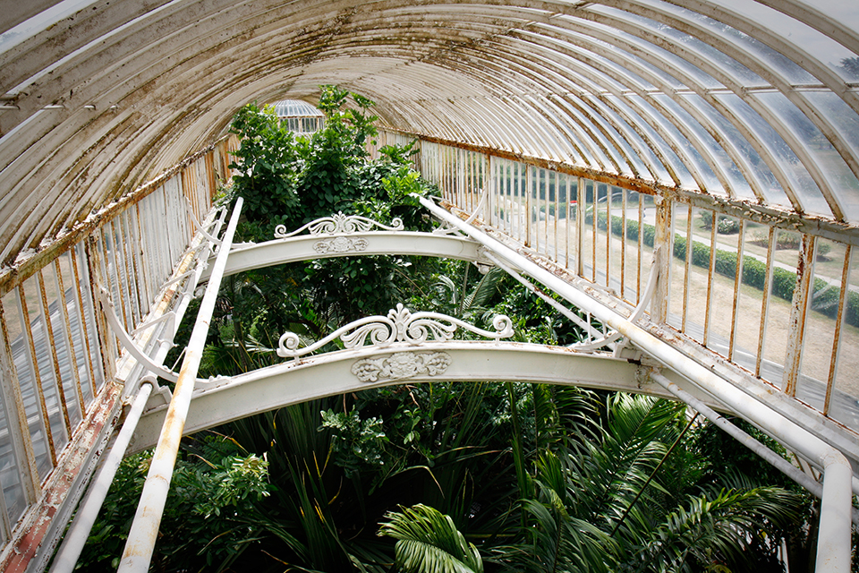 kew-gardens-palm-house-londres-03