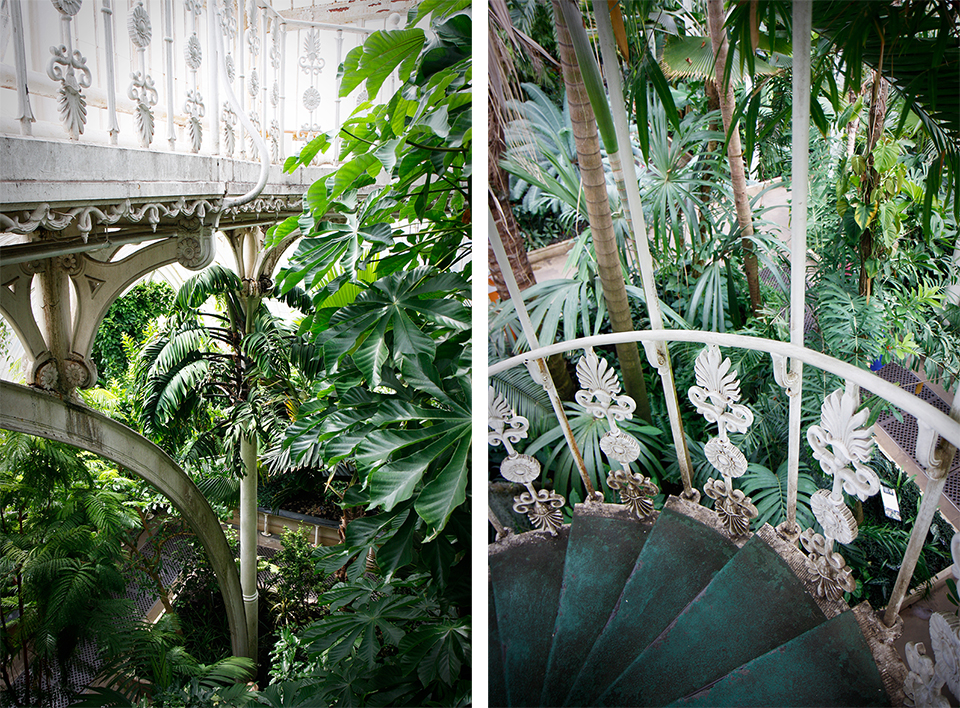 kew-gardens-palm-house-londres-09