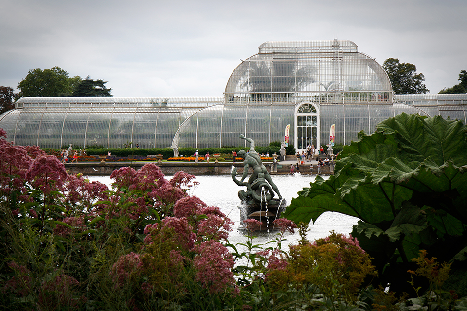 palm-house-kew-gardens-londres-02