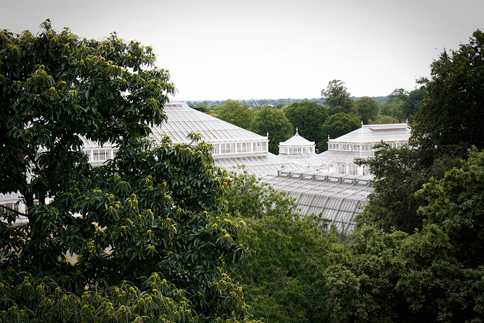 treetop-walkway-kew-gardens-londres-08