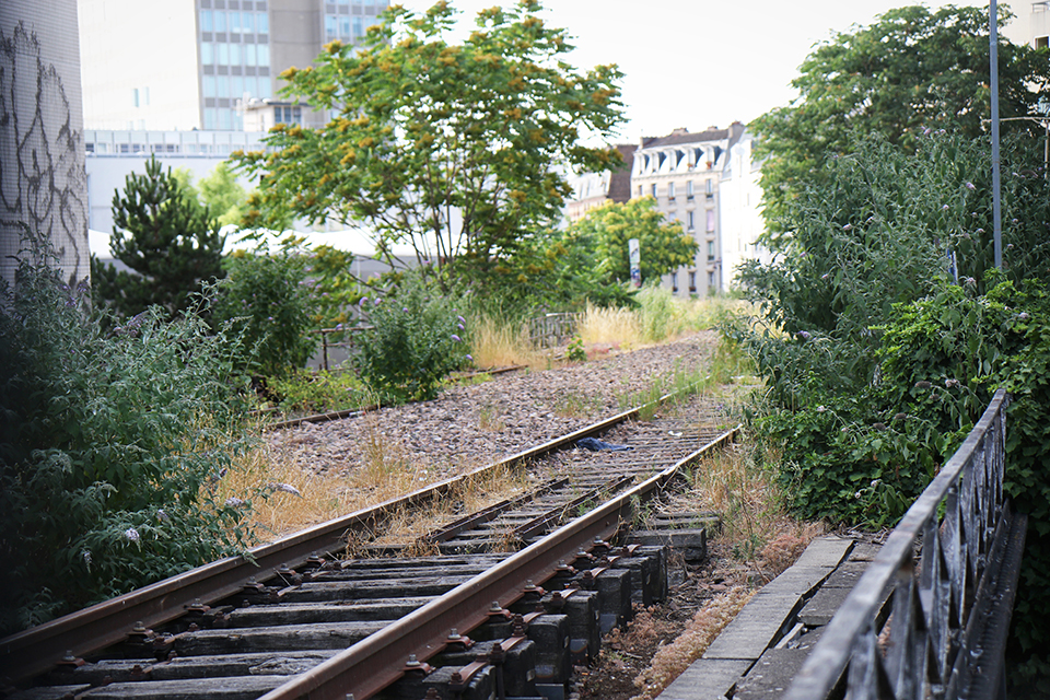 Petite Ceinture la Villette Paris