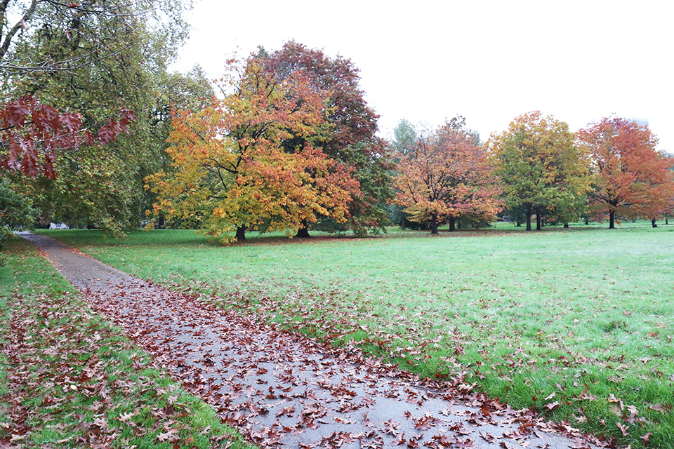 londres en automne hyde park