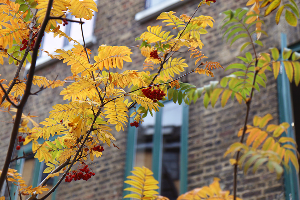 londres en automne