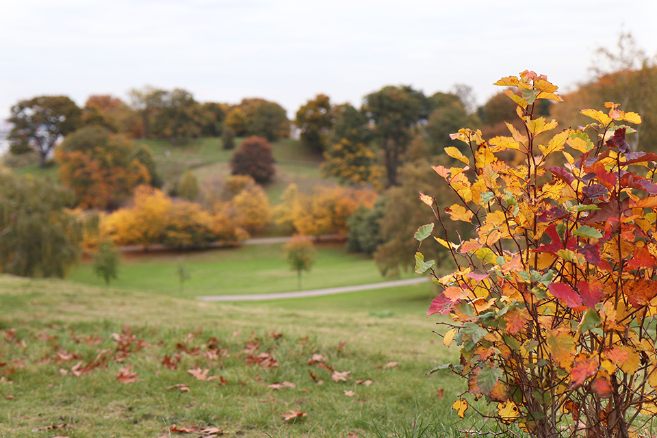 londres en automne