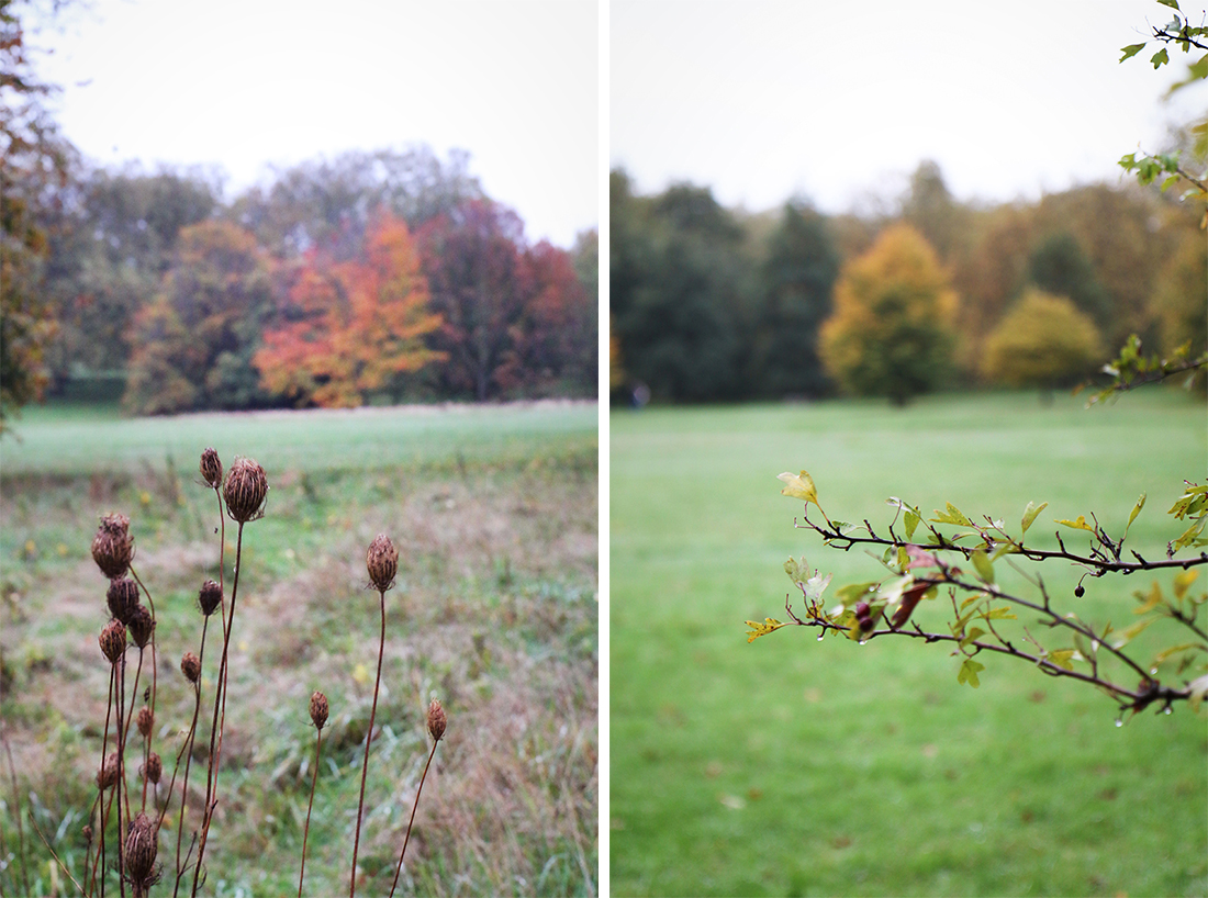 londres en automne hyde park