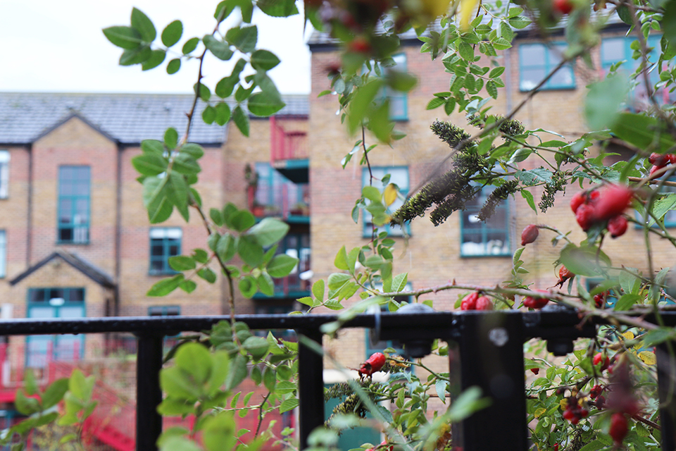 londres-regents-canal-02