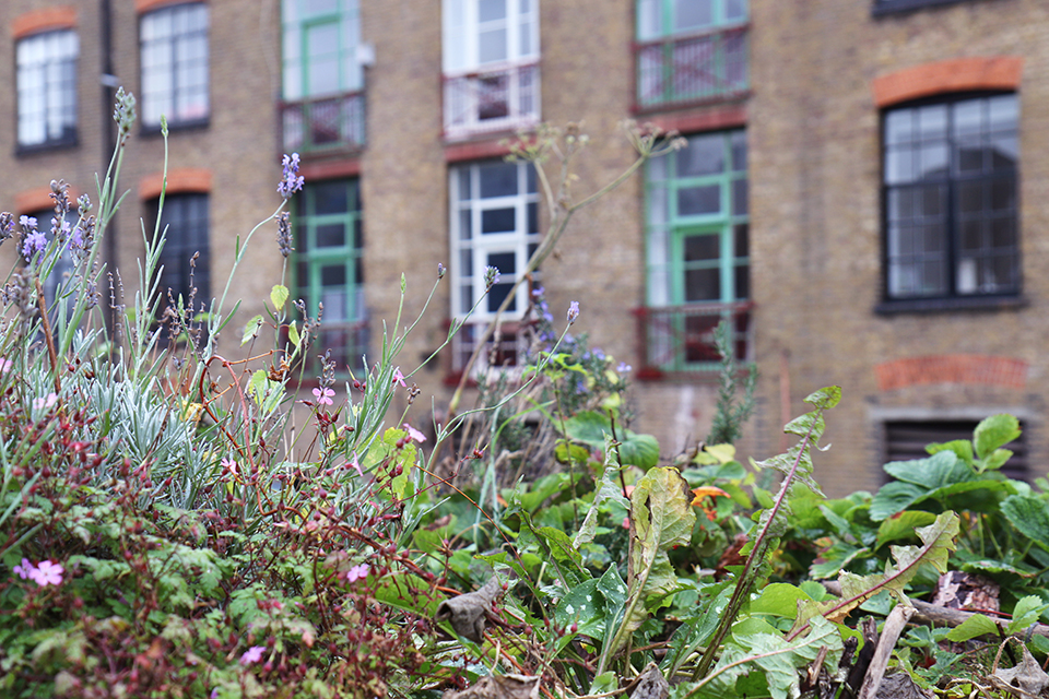 londres-regents-canal-10