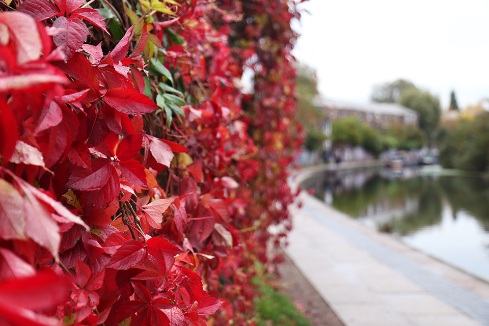 londres-regents-canal-27