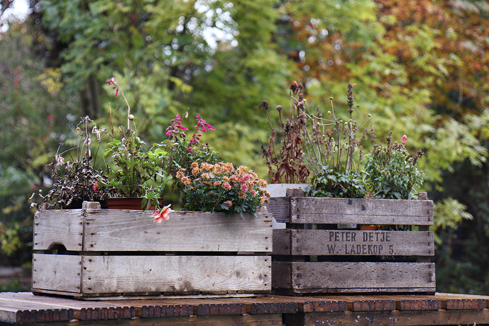 londres-regents-canal-46