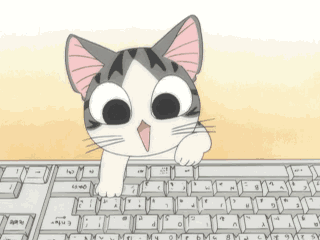 gif-cat-working-computer