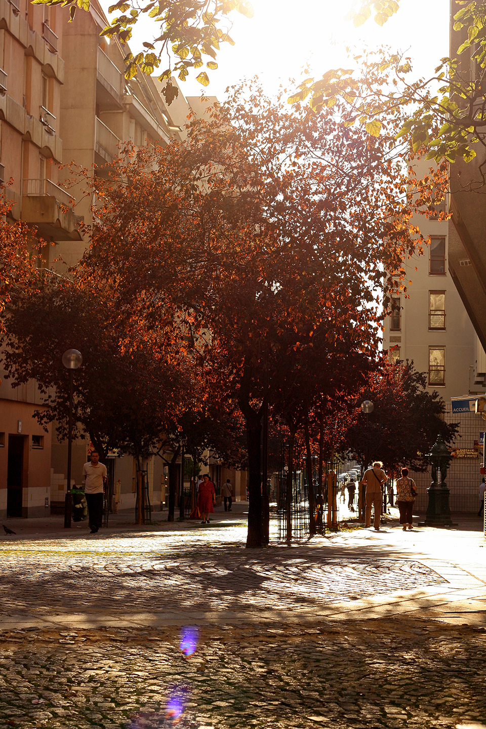 chinatown-paris-13-05