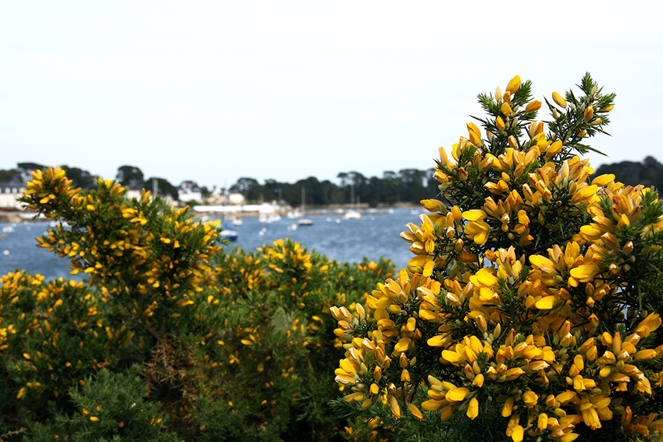 bretagne-golfe-morbihan-01