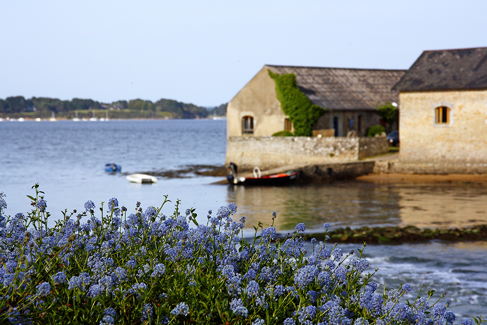 bretagne-golfe-morbihan-12