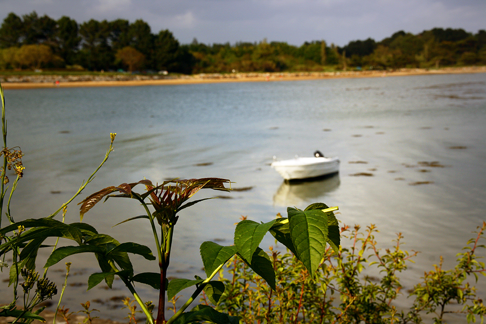 bretagne-golfe-morbihan-20