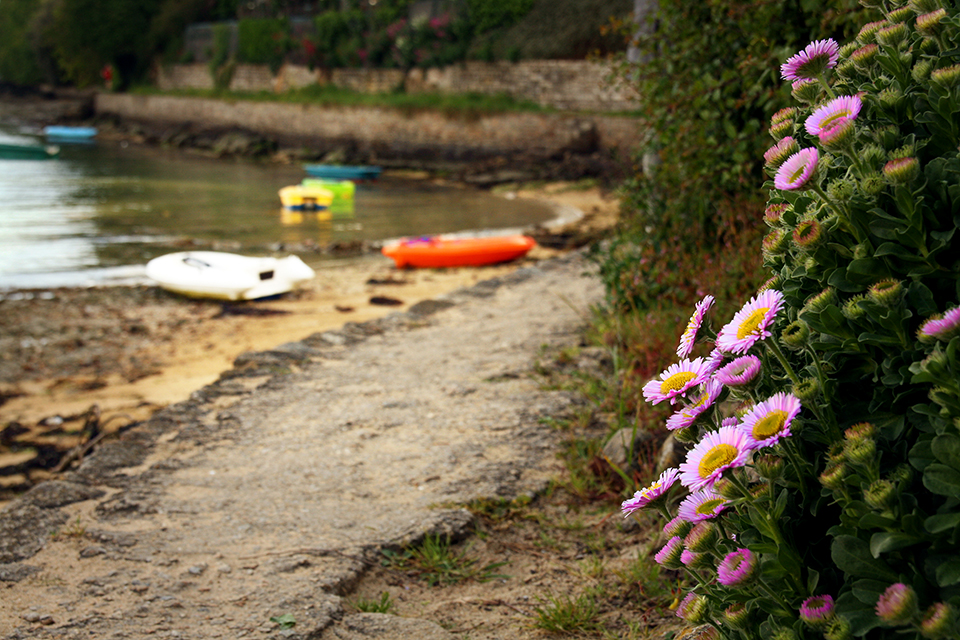 bretagne-golfe-morbihan-21