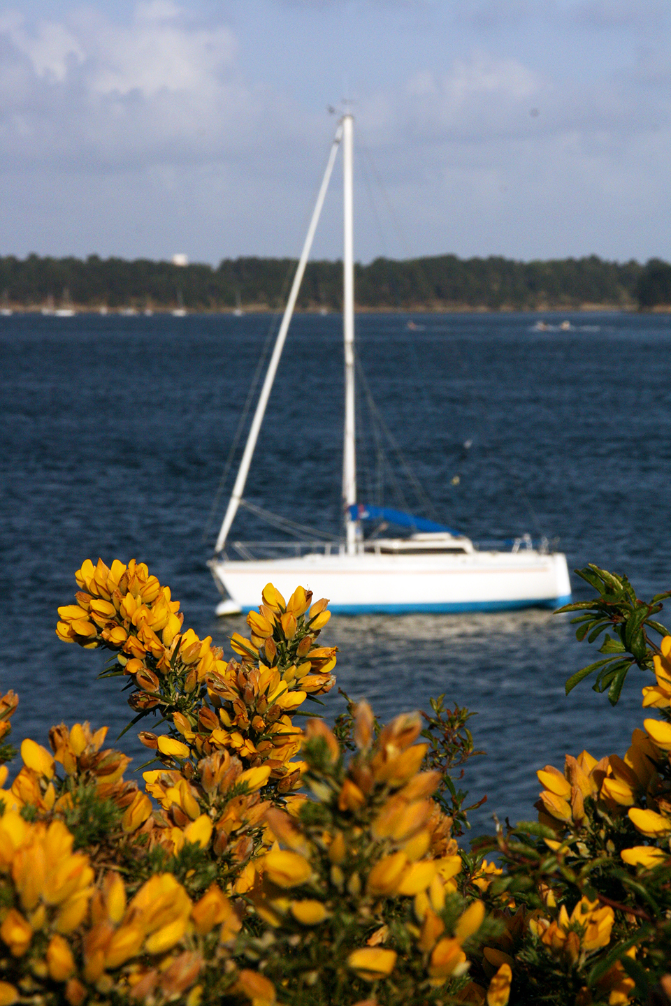 bretagne-golfe-morbihan-23