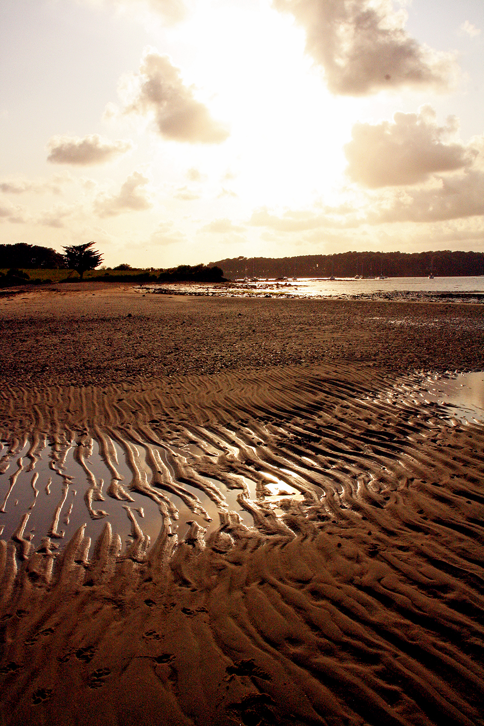 bretagne-golfe-morbihan-26