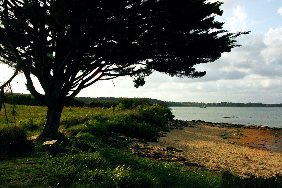 bretagne-golfe-morbihan-29