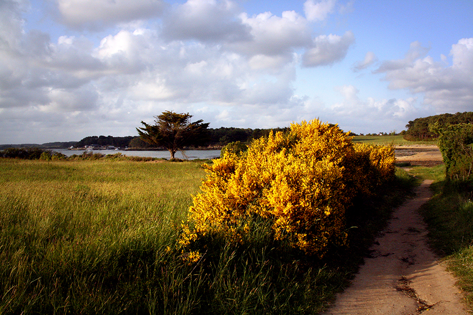 bretagne-golfe-morbihan-32