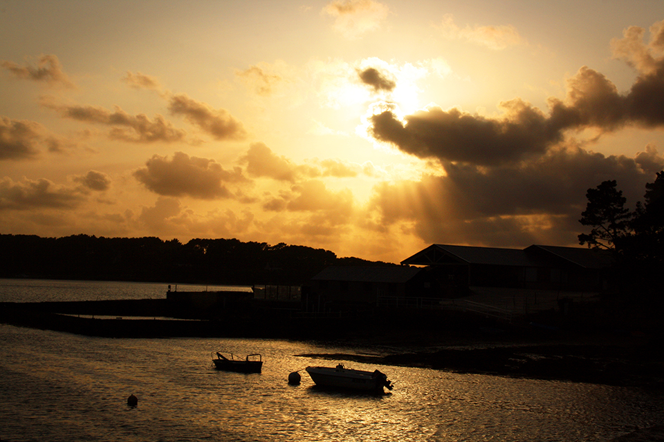 bretagne-golfe-morbihan-36