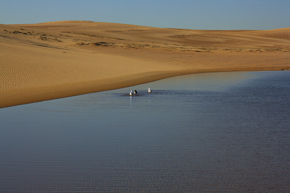 stockton-bight-australie-plage-13