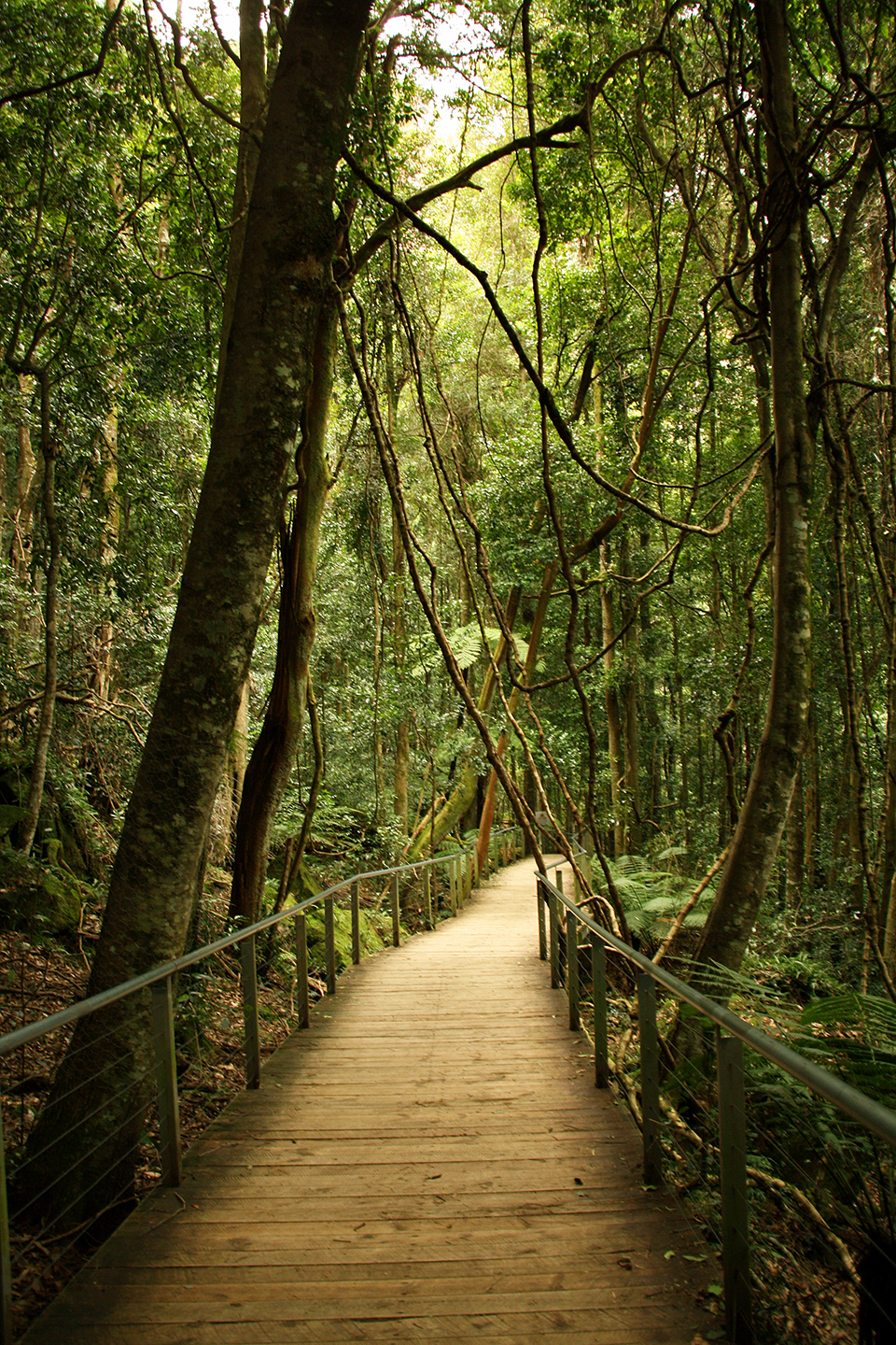 blue-mountains-australie-2011-9327-mod