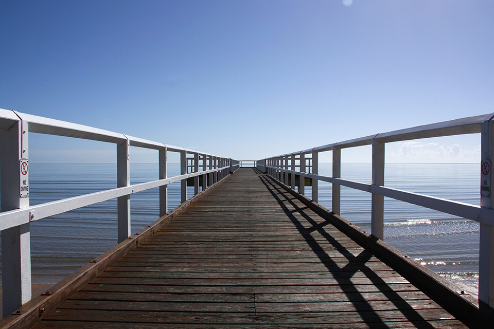 baleines-hervey-bay-australie-01