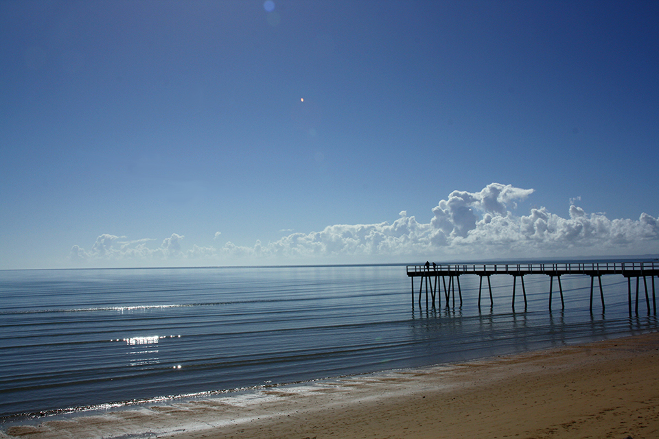 baleines-hervey-bay-australie-02