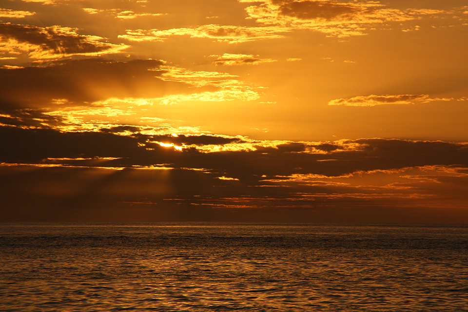 baleines-hervey-bay-australie-26