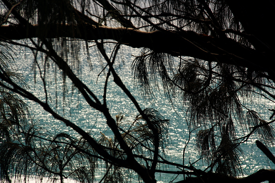 fraser-island-australie-29