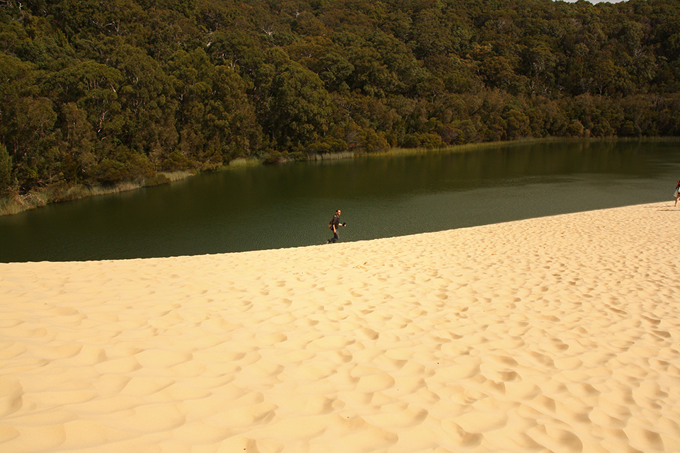 fraser-island-australie-40