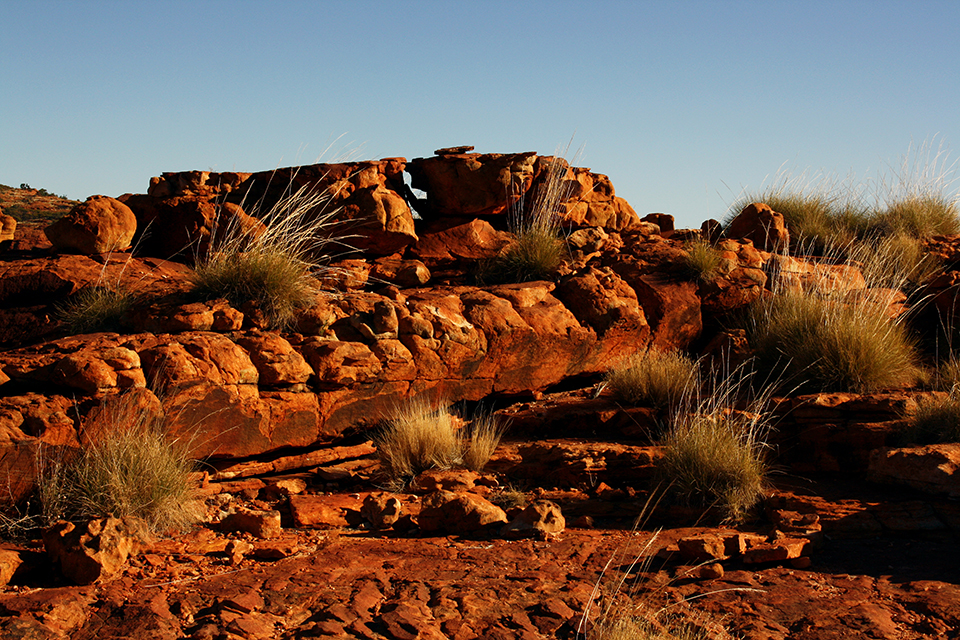 kings-canyon-red-center-australie-23