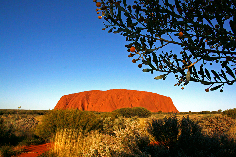 uluru-ayers-rock-australie-38