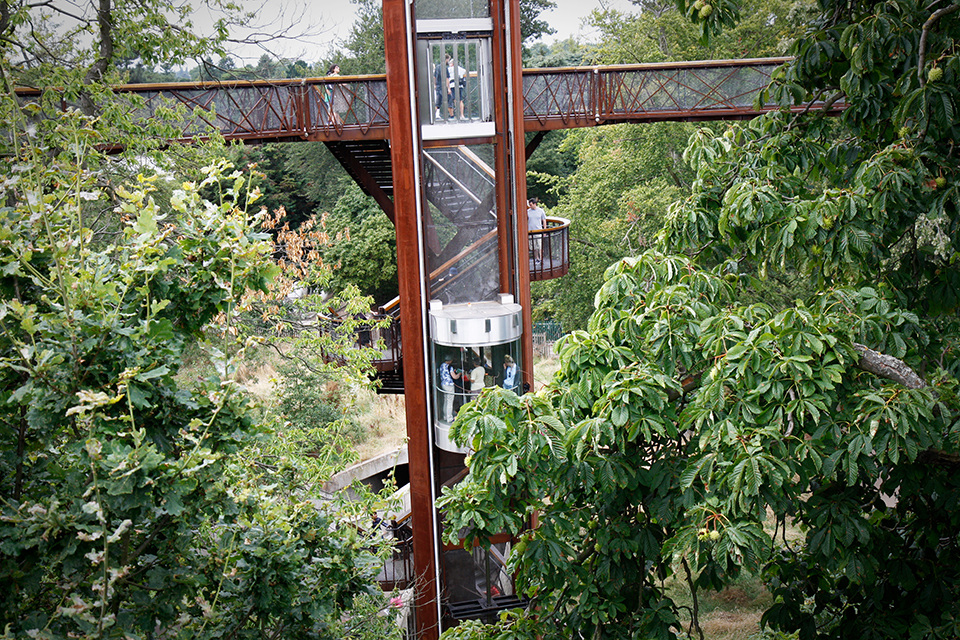 treetop-walkway-kew-gardens-londres-09