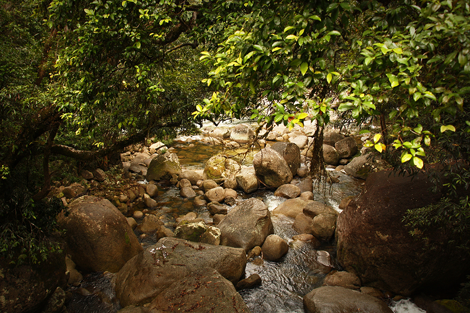 cape-tribulation-australie-02