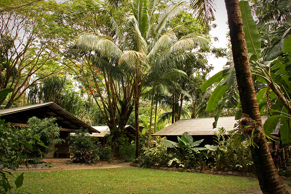 cape-tribulation-australie-08